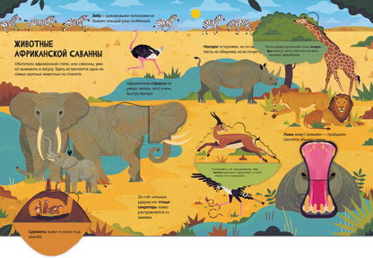 Энциклопедия с окошками. Животные. Энциклопедия с окошками/Петти У.