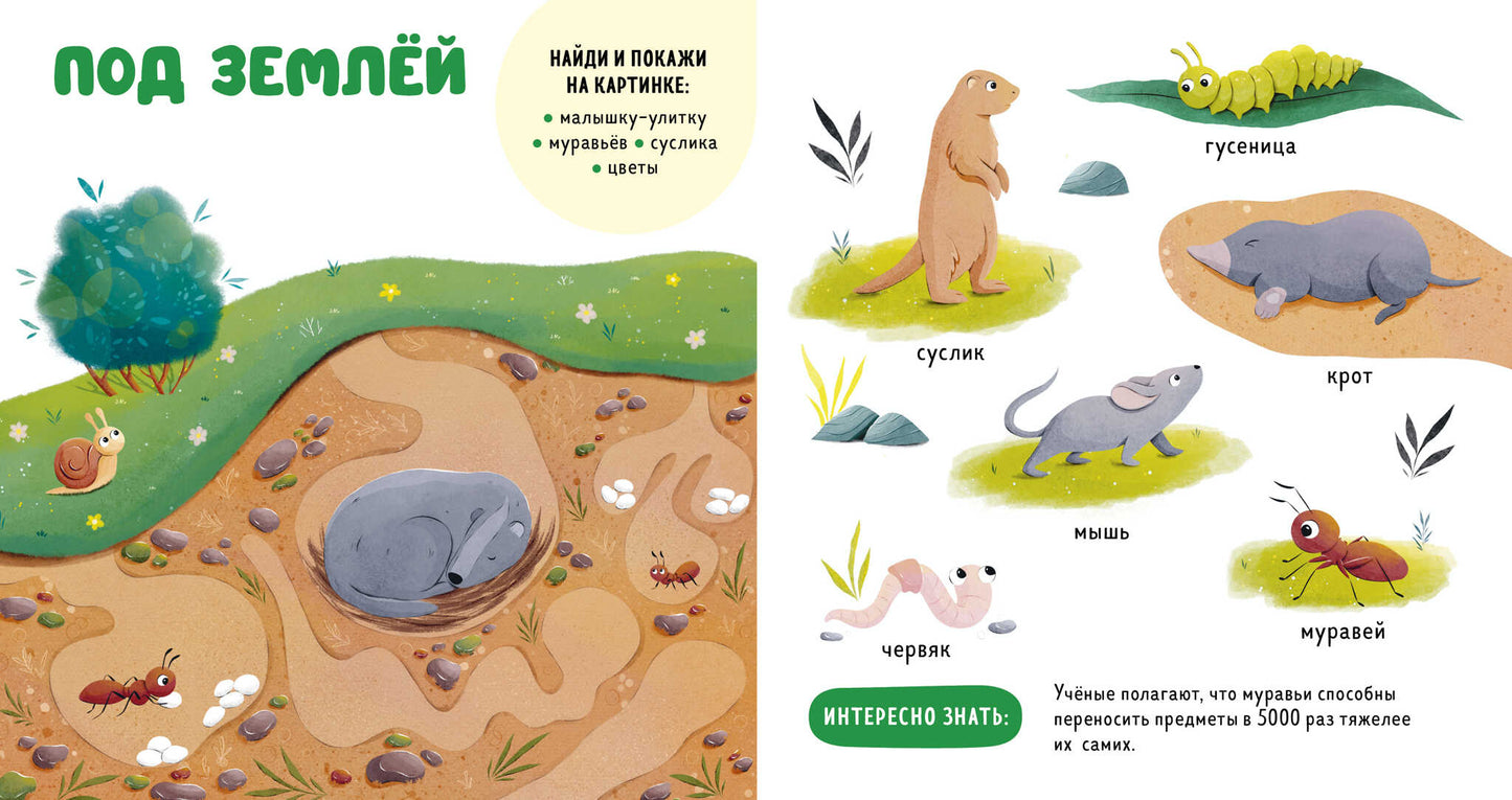 Главная книга малыша. Прогулки по лесу