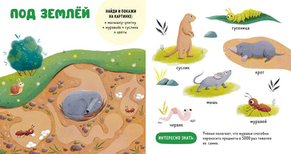 Главная книга малыша. Прогулки по лесу