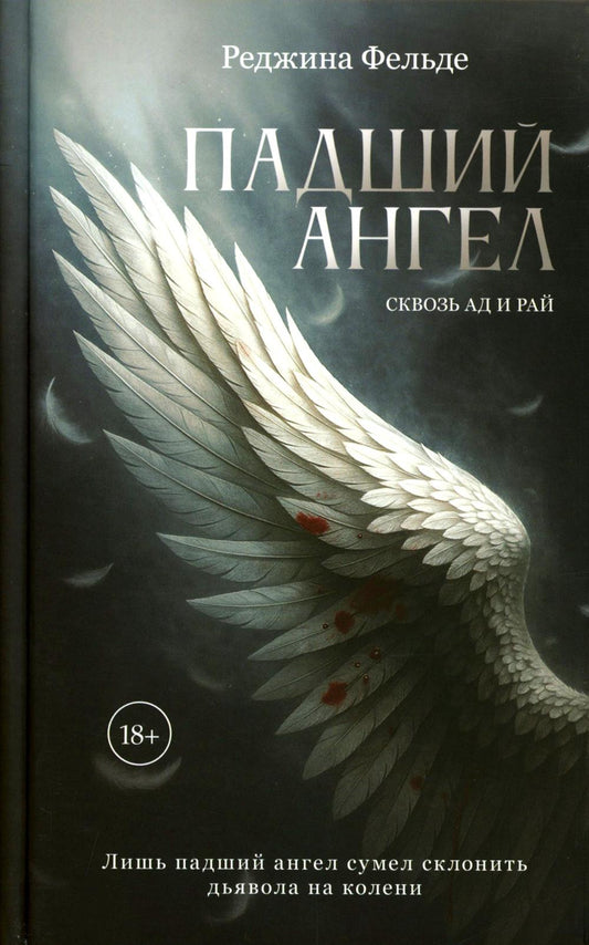 Дримбук.Падший ангел.Кн.1.Сквозь ад и рай
