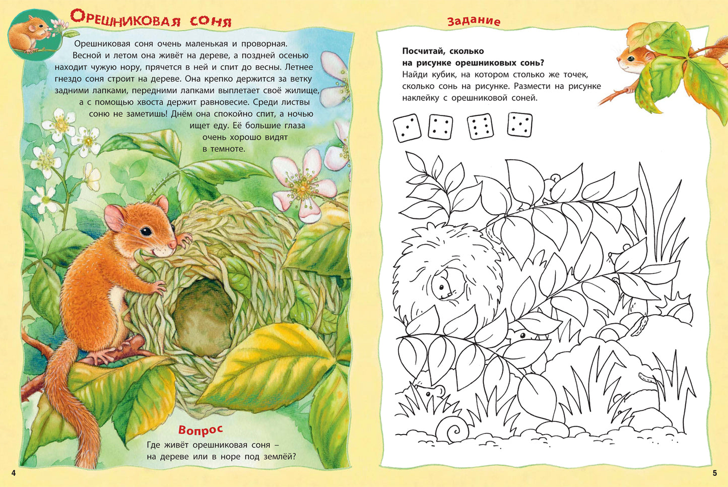 Кто живёт на опушке? Книжка-активити с развивающими заданиями, головоломками, наклейками (СНИЖЕНА ЦЕНА)