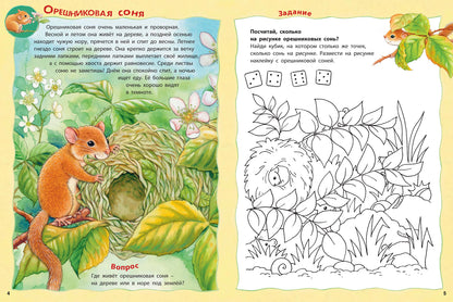 Кто живёт на опушке? Книжка-активити с развивающими заданиями, головоломками, наклейками (СНИЖЕНА ЦЕНА)