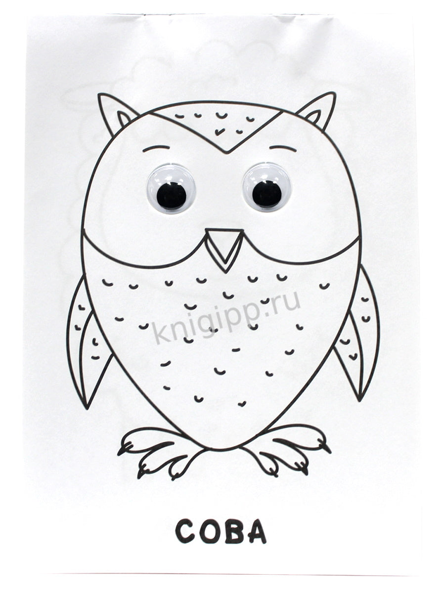 РАСКРАСКА А4 с глазками 22мм. ДЛЯ МАЛЫШЕЙ