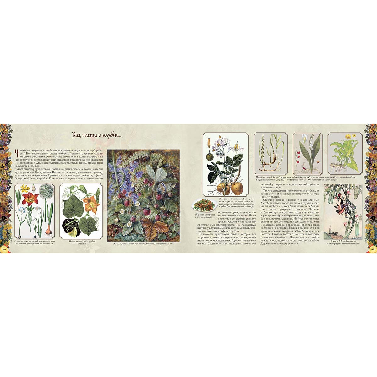 Мой первый гербарий