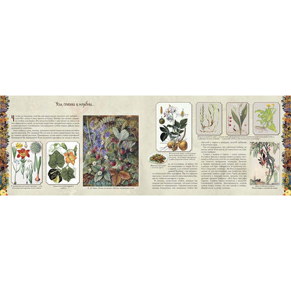 Мой первый гербарий