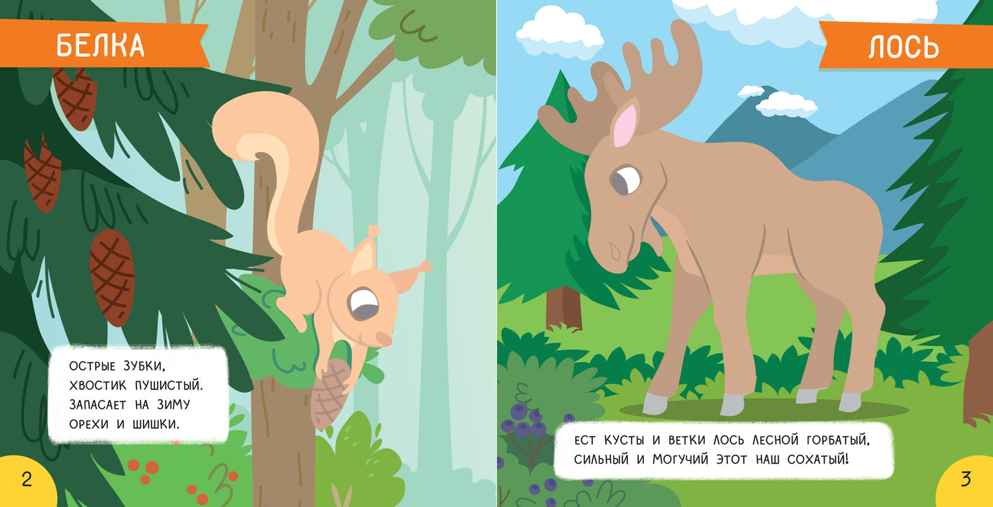 Лес: мини-энциклопедия для крохи