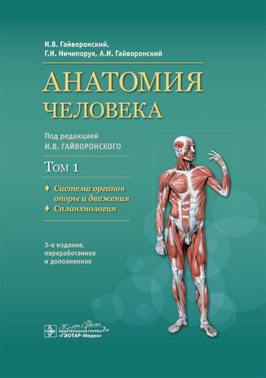 Анатомия человека : учебник : в 2 т. / И. В. Гайворонский, Г. И. Ничипорук, А. И. Гайворонский ; под ред. И. В. Гайворонского. — Т. 1. Система органов опоры и движения. Спланхнология. — 3-е изд., перераб. и доп. — Москва : ГЭОТАР-Медиа, 2024. — 736 с. : и