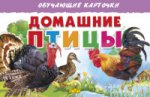 Карточки. Домашние птицы ; Карточки. Домашние птицы