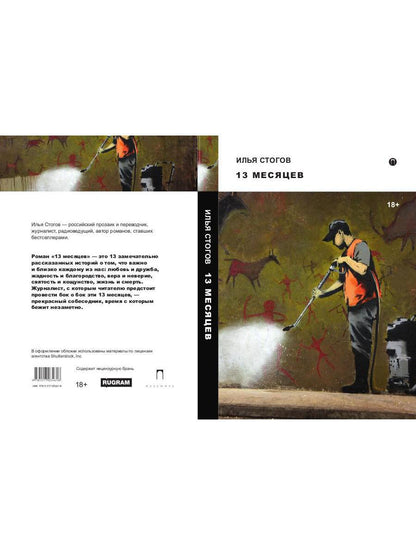 13 месяцев: роман