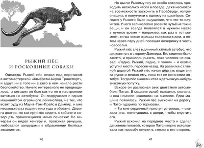 Рыжий пёс