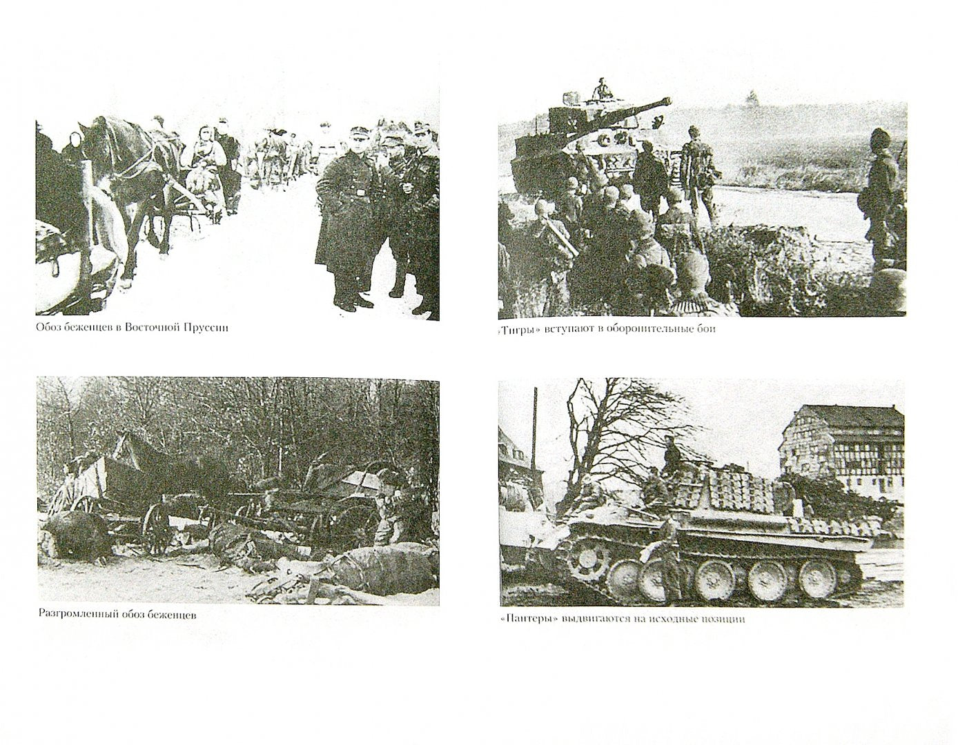 Битва за рейх. Последние бастионы Гитлера 1944-1945