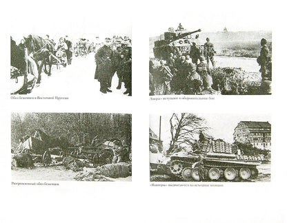 Битва за рейх. Последние бастионы Гитлера 1944-1945