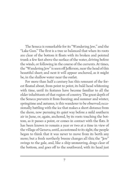 The Lake Gun and Other Stories = Озерное ружье и другие истории: на англ.яз