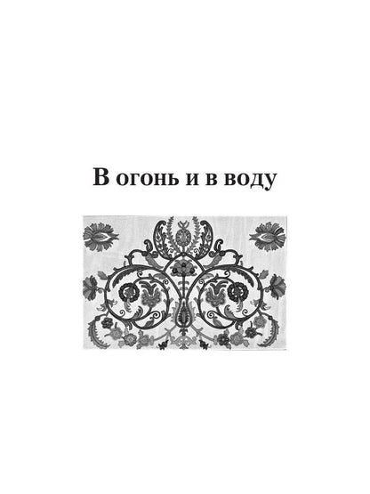 В огонь и в воду: роман