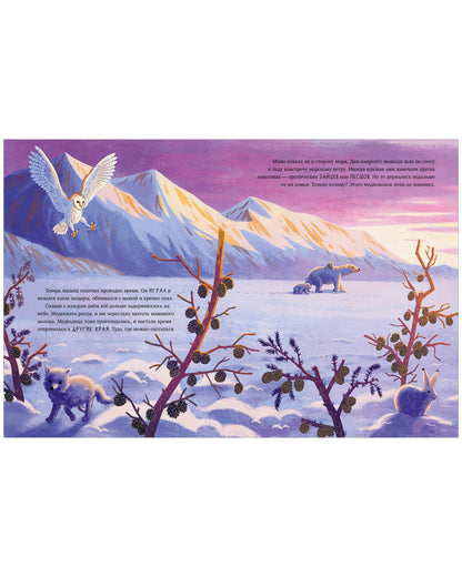 Удивительные животные. Белый медвежонок. Приключения в Арктике/Шармахер-Шрайбер К.