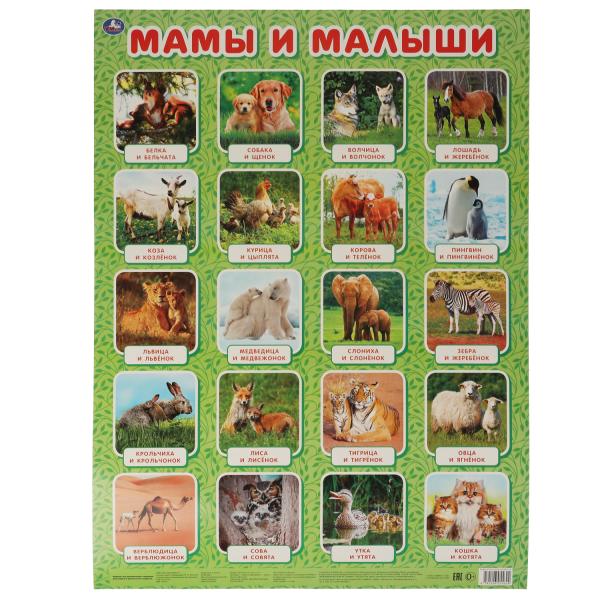 Мамы и малыши. Плакат А2. Умка уп-10шт в кор.5уп