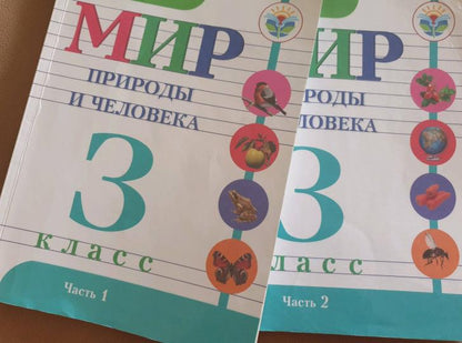 Матвеева. Мир природы и человека. 3 кл.Учебник. В 2-х ч. Ч.2 /обуч. с интеллект. нарушен/ (ФГОС ОВЗ)