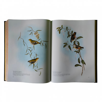 Птицы Австралии