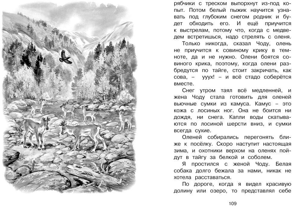 Беспокойный хвостик
