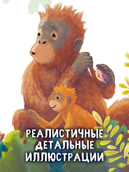 Удивительные животные. Малыш орангутанг. Приключения в тропиках/Шармахер-Шрайбер К.