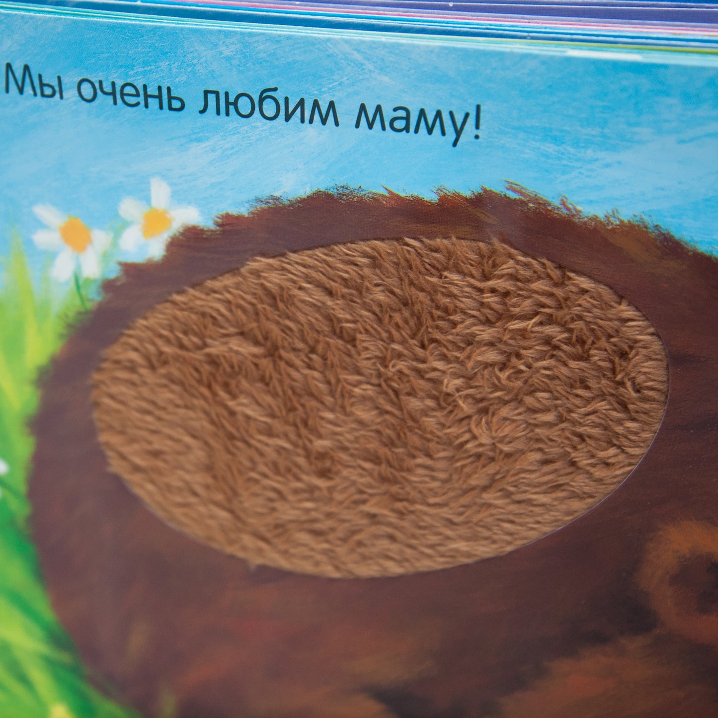 Потрогай и погладь. New2. Кого любят медвежата?