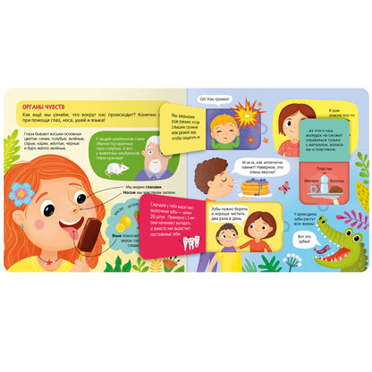 Книжки с окошками. Тело человека