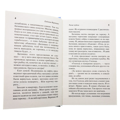 Рип.Шмелев.Тихие чудеса:непридуманные рассказы