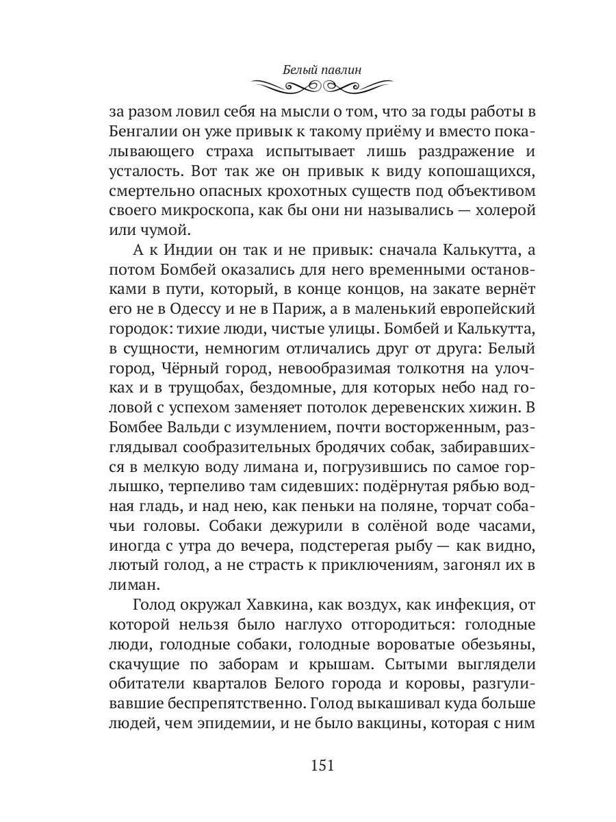 Махатма (вольные фантазии из жизни самого неизвестного человека): роман