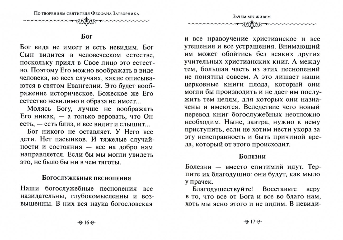 Зачем мы живем. По творениям святителя Феофана Затворника