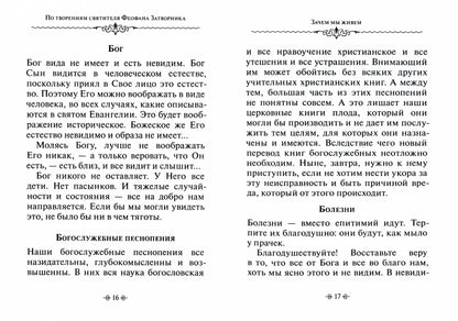 Зачем мы живем. По творениям святителя Феофана Затворника