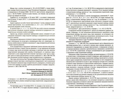 Разъяснения Верховного Суда РФ по уголовным и административным делам.-М.:Проспект,2021.