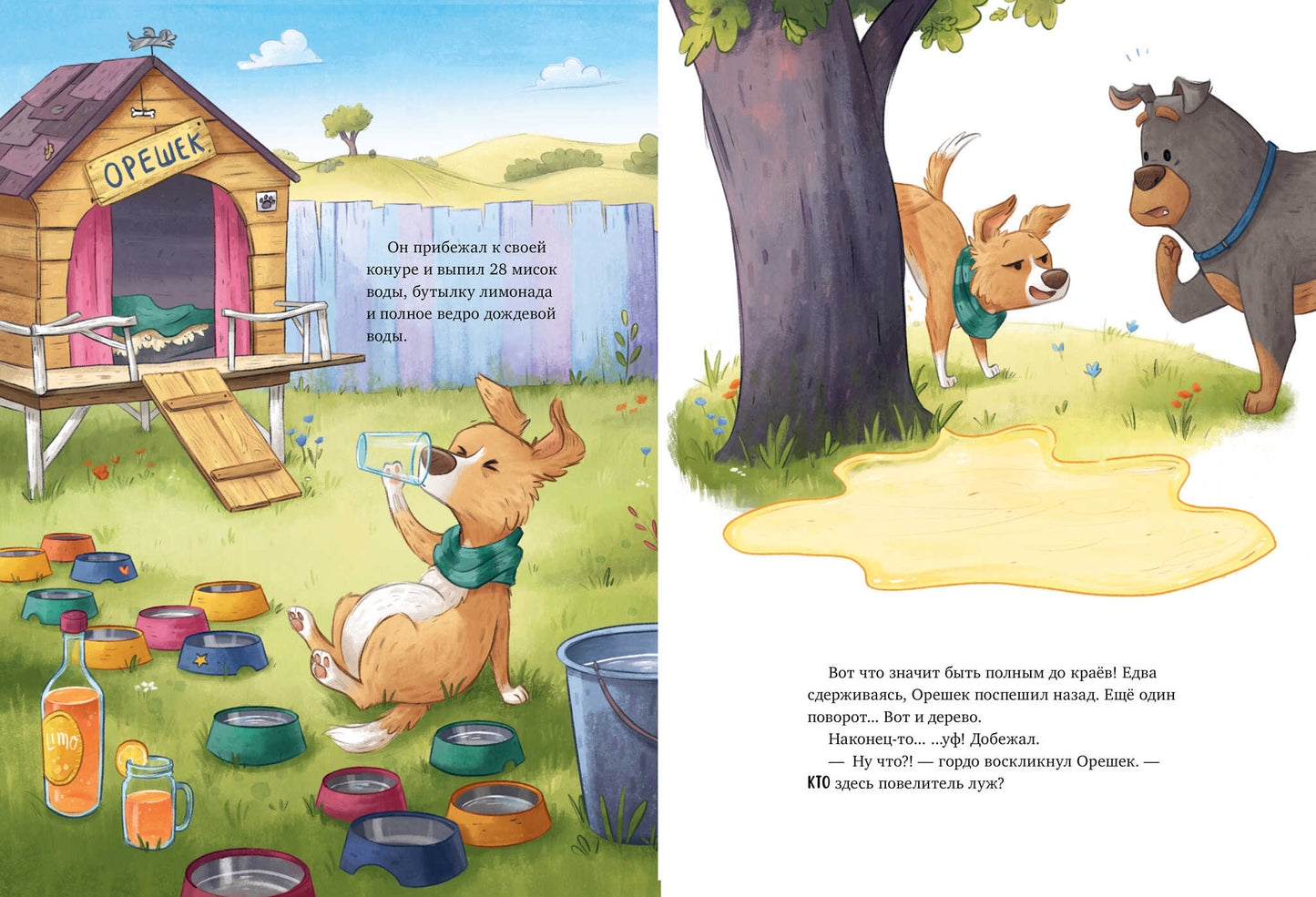 Книжки-картинки. Давай на спор!