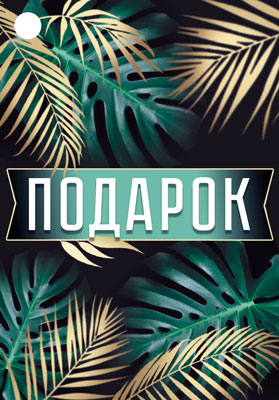 Б-15560 Birka. Подарок! (уф-лак)