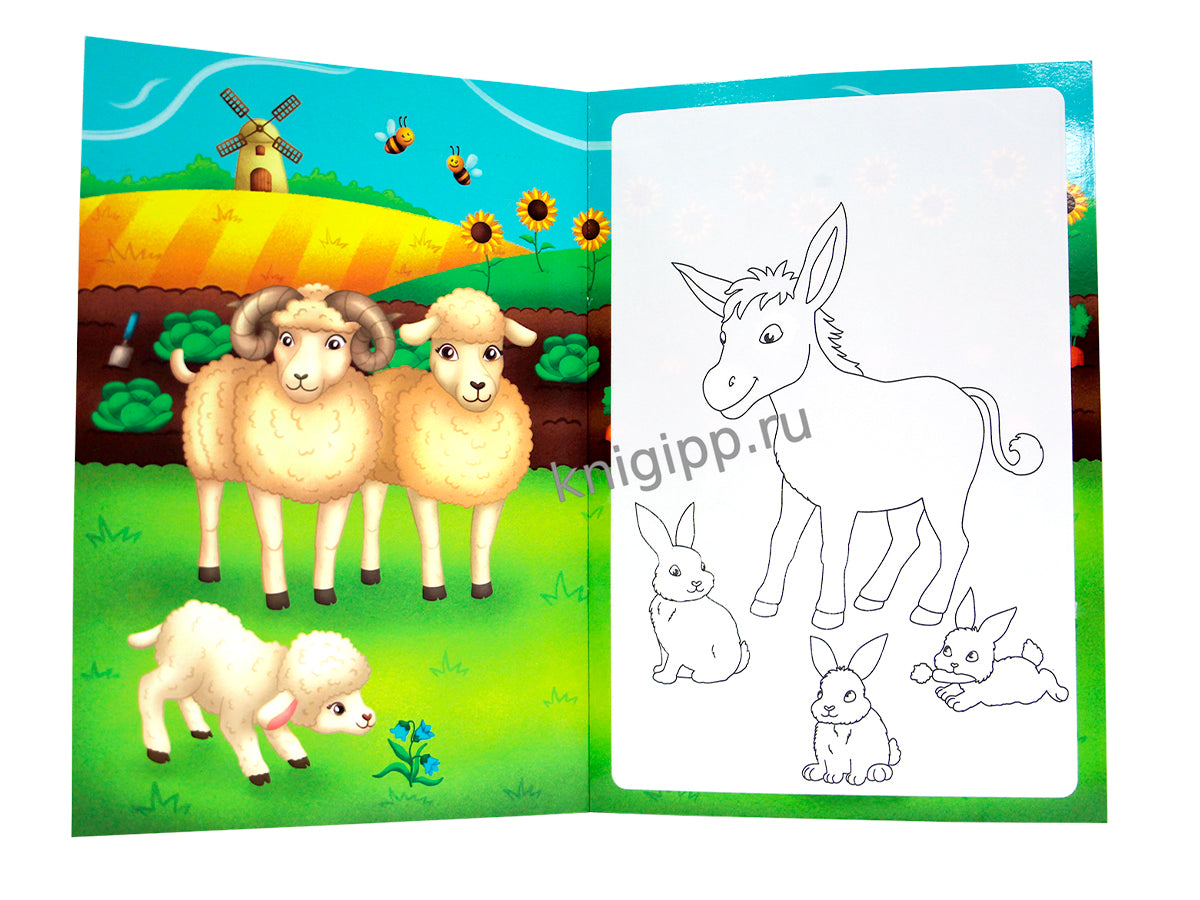 МНОГОРАЗОВАЯ ВОДНАЯ РАСКРАСКА С ЧЁРНЫМ КОНТУРОМ. ДОМАШНИЕ ЖИВОТНЫЕ