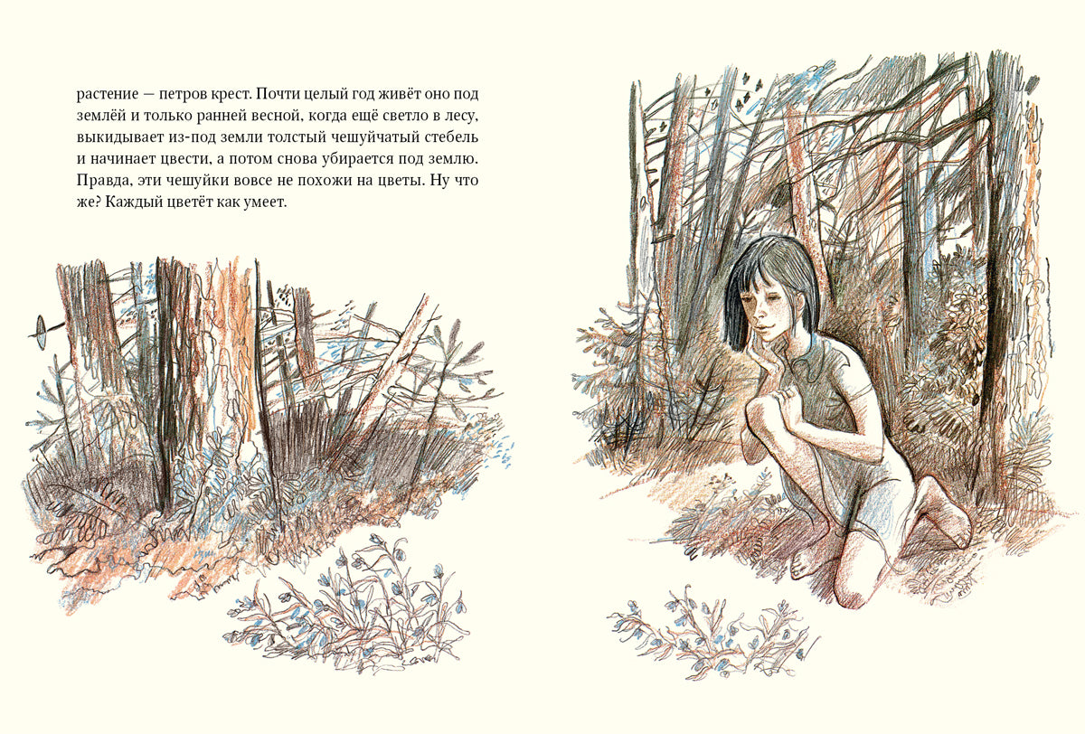 Девочка из города. Гуси-лебеди