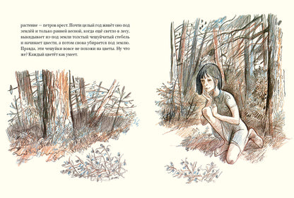 Девочка из города. Гуси-лебеди