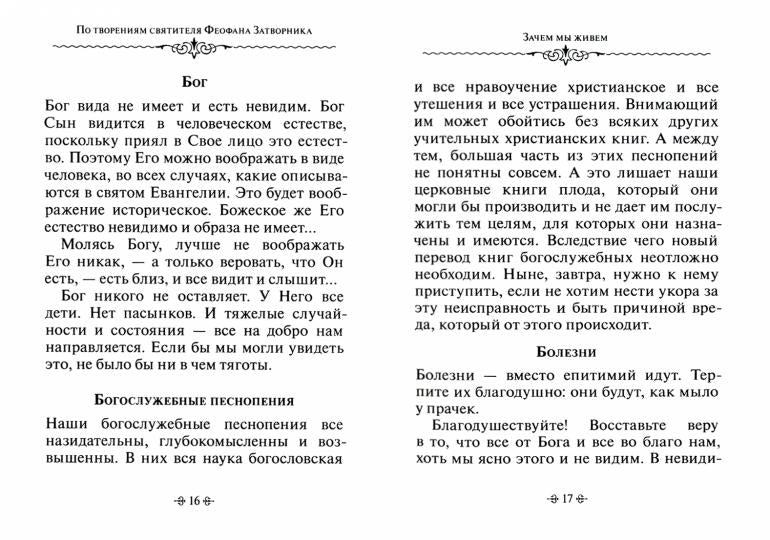 Зачем мы живем. По творениям святителя Феофана Затворника