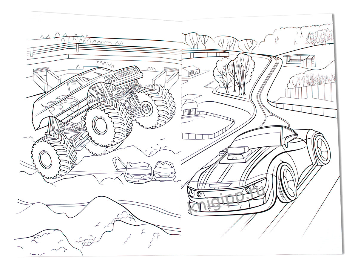 ЛЮБИМАЯ РАСКРАСКА эконом А4. ГОНКИ