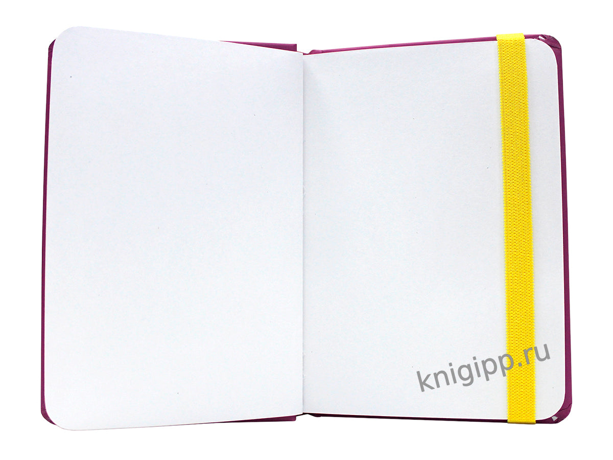 MyArt. Pocket СКЕТЧБУК. ГУСЬ