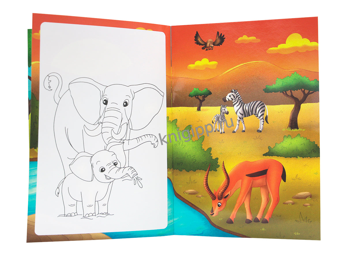 МНОГОРАЗОВАЯ ВОДНАЯ РАСКРАСКА С ЧЁРНЫМ КОНТУРОМ. ДИКИЕ ЖИВОТНЫЕ