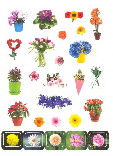 100 НАКЛЕЕК. ЦВЕТОЧКИ