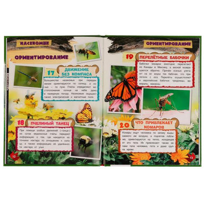 Насекомые. И.Я.Павлинов. 100 фактов. Энциклопедия с развивающими заданиями. 48 стр. Умка в кор.22шт
