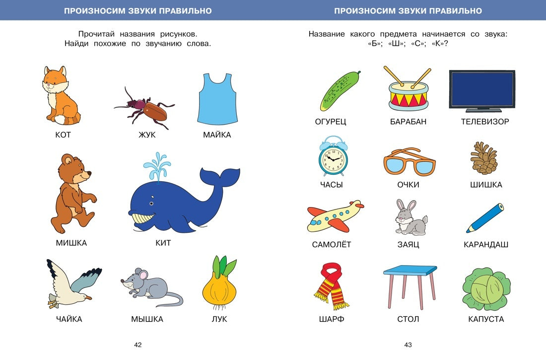 Большая книга тестов (4-5 лет)