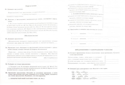 Русский язык 5кл ч1 [Раб. тетр.]