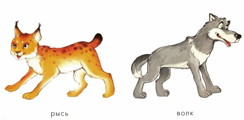 Лесные животные