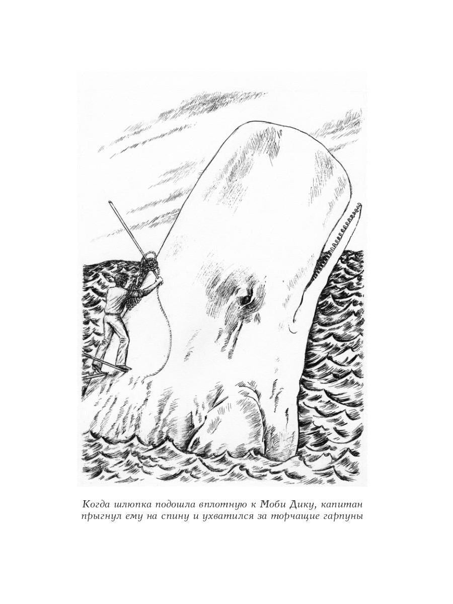 Путешествия капитана Александра: в 4 т. Том 1. Большие дети моря; Киты и люди