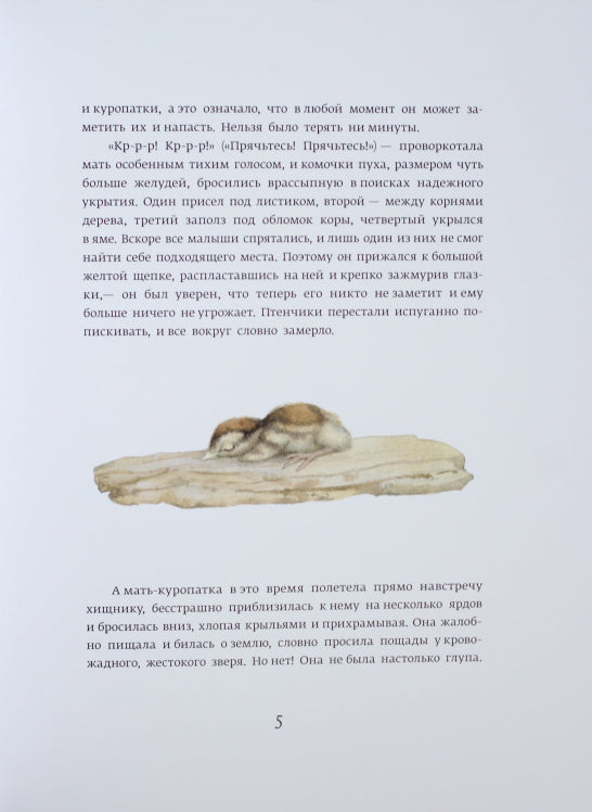 Класика в ілюстраціях: Красношейка (р)