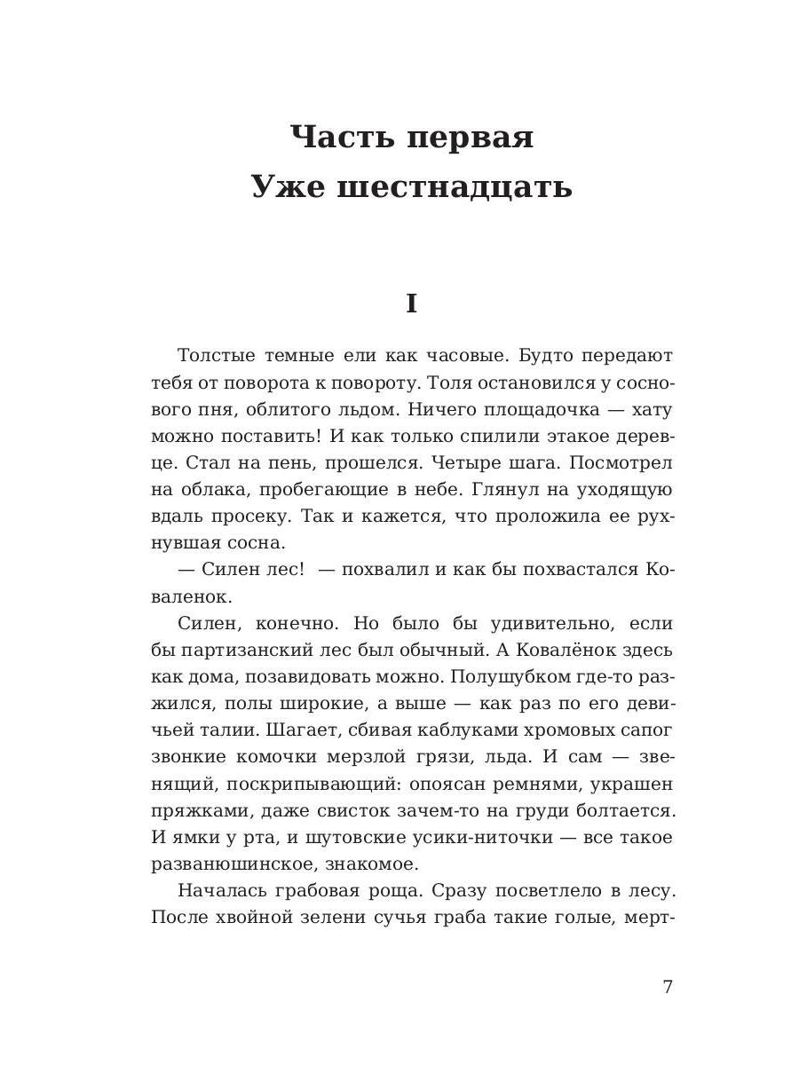 Партизаны. Сыновья уходят в бой. Адамович А.