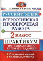 Русский язык. 2 класс. Всероссийская проверочная работа. Практикум по выполнению типовых заданий