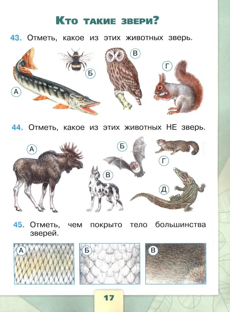 Плешаков. Окружающий мир. Тесты. 1 класс / к ФП 22/27